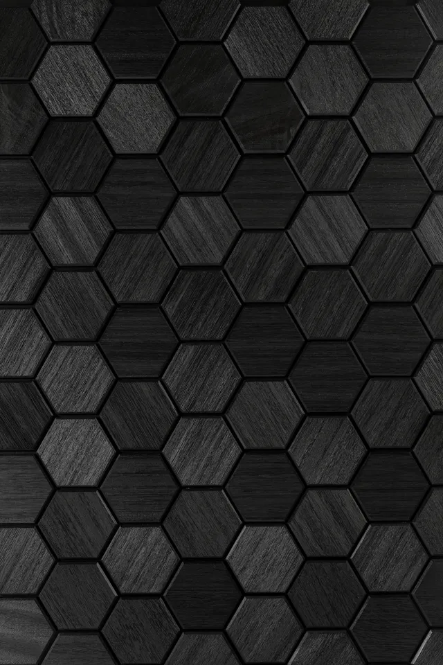 wellmia-hexa-s-black-sauna-dekopaneel-abachi-1-25-m image 1