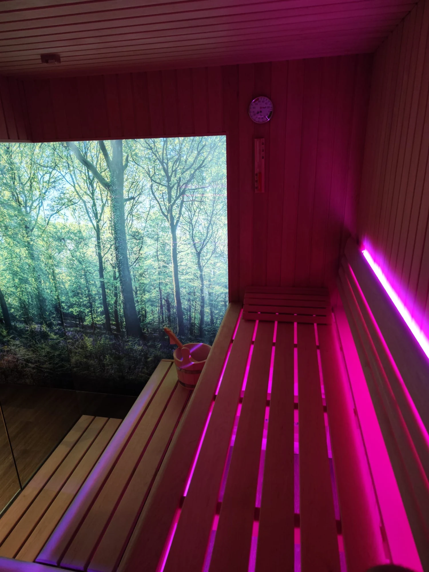 polarholz-gewerbliche-sauna-erle-300x250-6-7-personen image 1