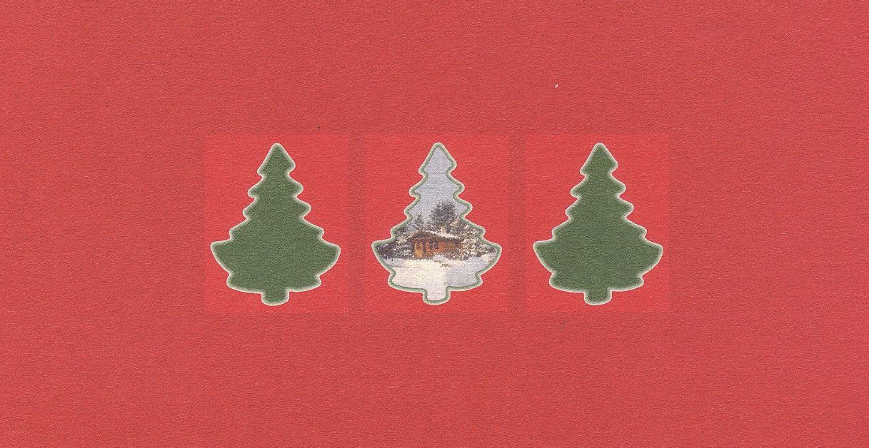 sauna-matti-dies-und-das-weihnachtskarte-tannenbaum-gru-karte image 1