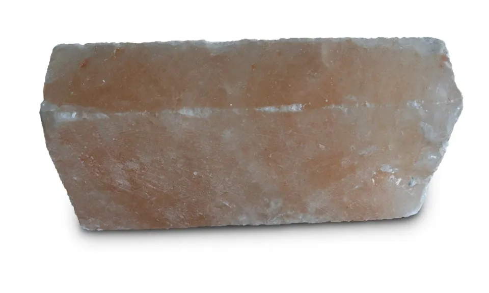 polarholz-bauartikel-salzziegel-himalaya-salz-200x100x50-glatt image 1